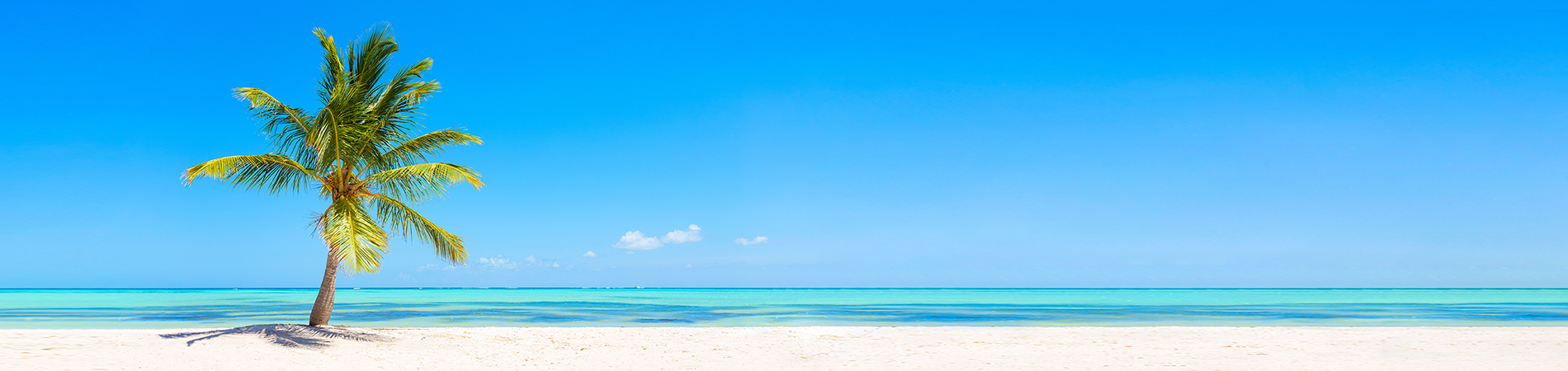 Judy Vacation Rentals Hero Image